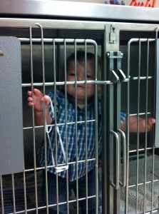 No, I did not keep my children in the cage during surgery but I was tempted!