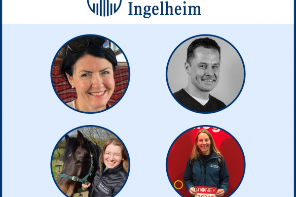 Boehringer Ingelheim Animal Health vets