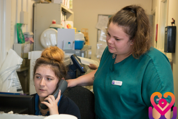 Veterinary management or leadership