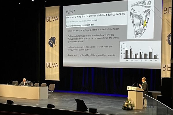 BEVA Congress 2022