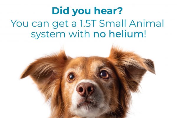 Zero-Helium MRI