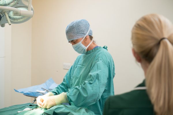 Career specialisation