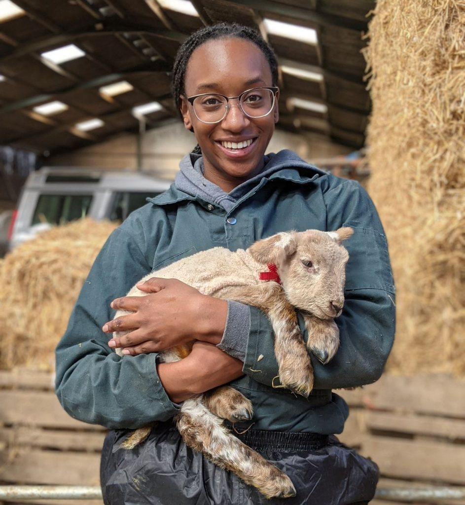Remi Onabolu veterinary careers