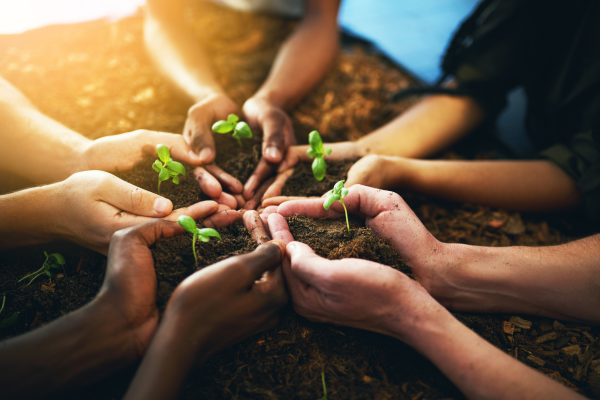 Career development and wellbeing
