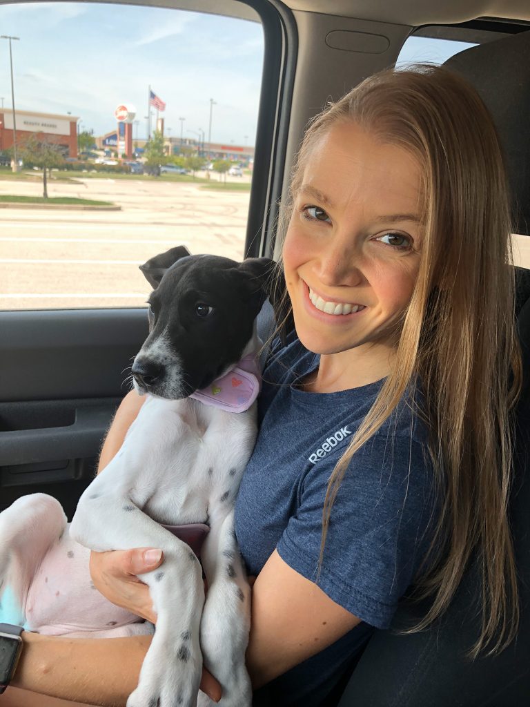 Dr Megan Sprinkle: Veterinary careers