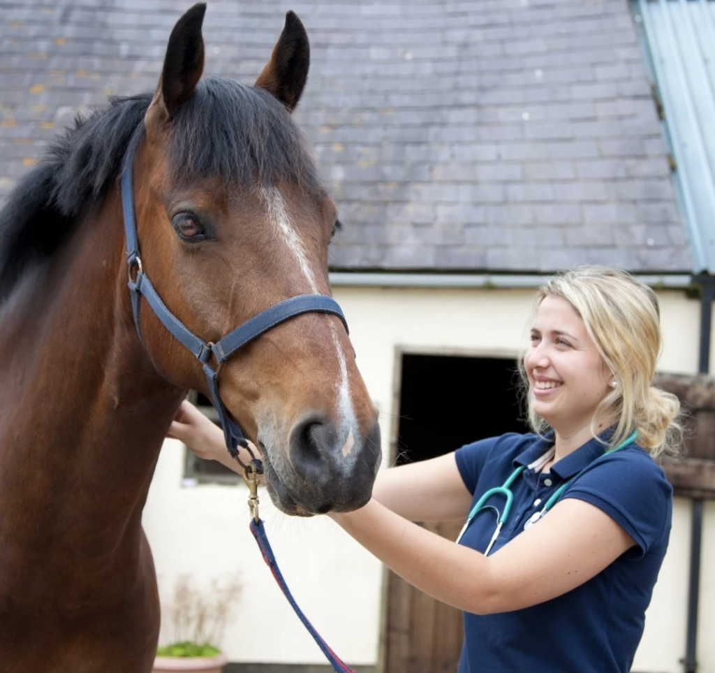 A farm vet with blonde hair tending to a horse outdoors