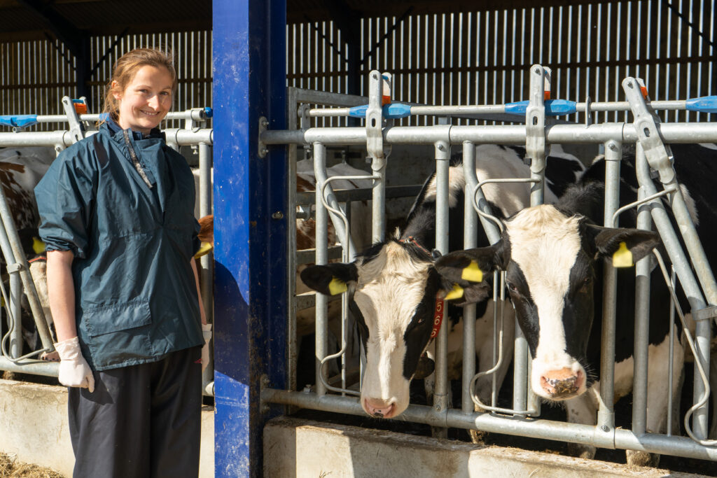 Mel Julian with cattle