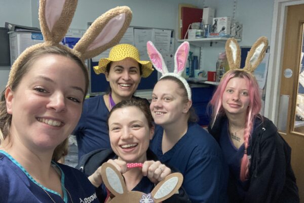 a group of women in navy scrubs wearing bunny ears and smiling in a selfie