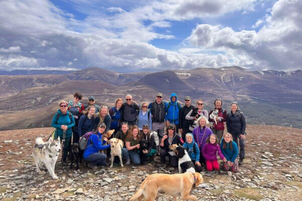 a vet team at the top of a large hill together photographed on a team walk